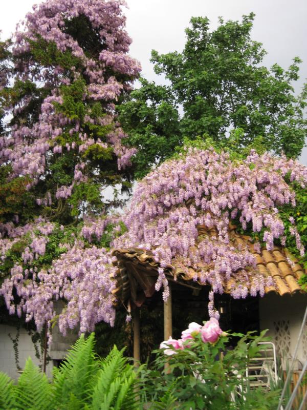 Frühlingsgarten